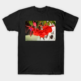 Begonias and Fuschia T-Shirt